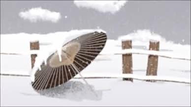 郊外冬季雪景大雪节气视频的预览图